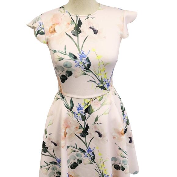 Ted Baker Size 0 Pink and Floral Dress Fit and Flare - Picture 1 of 11